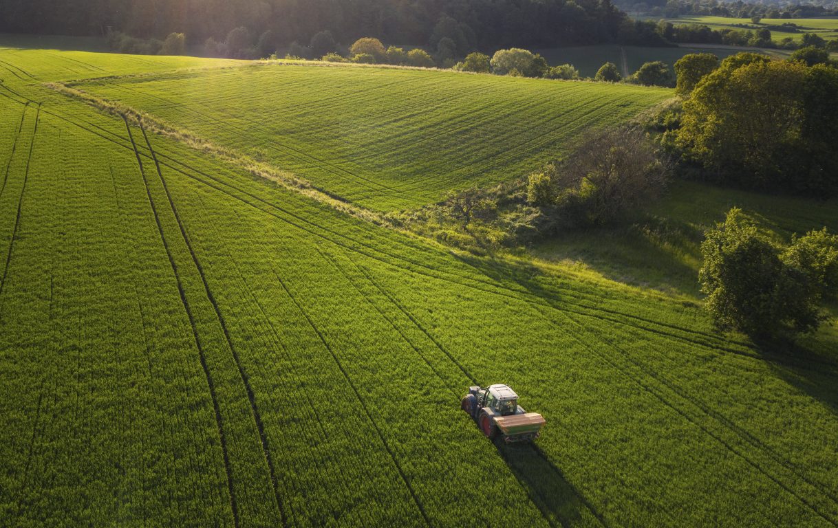 Por qué los campos argentinos son los mejores del mundo.